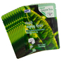 Набор/Тканевая маска для лица Зеленый чай 3W CLINIC Fresh Green tea Mask Sheet 10 шт