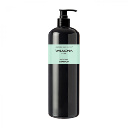 Шампунь для волос Аюрведа EVAS (VALMONA) Ayurvedic Scalp Solution Black Cumin Shampoo 480 мл